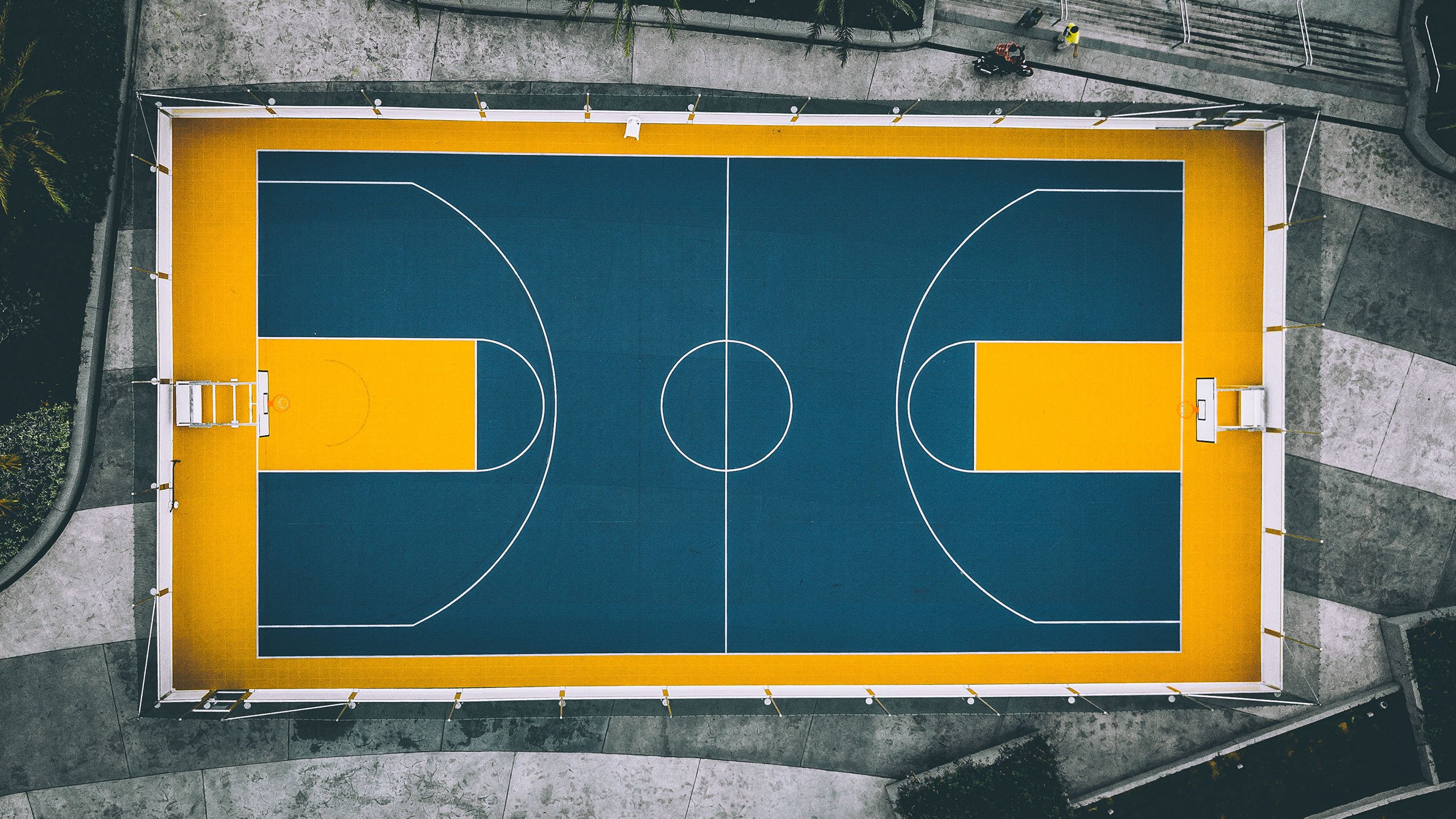 开云体育视频直播-当天山雪豹撕咬金州勇士，拉梅洛三双之夜背后的东方战术密码